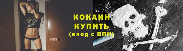 прущий лед Костерёво