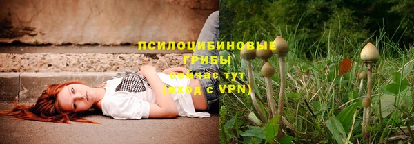 синтетический гашиш Абдулино