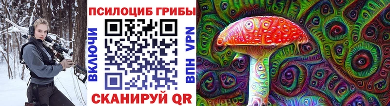 блэк спрут   продажа наркотиков  Азнакаево  Галлюциногенные грибы мухоморы 